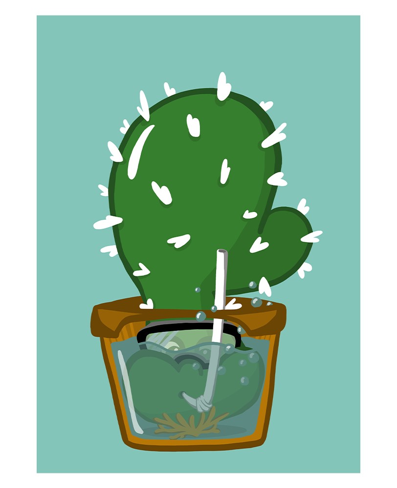 ueberleben kaktus
